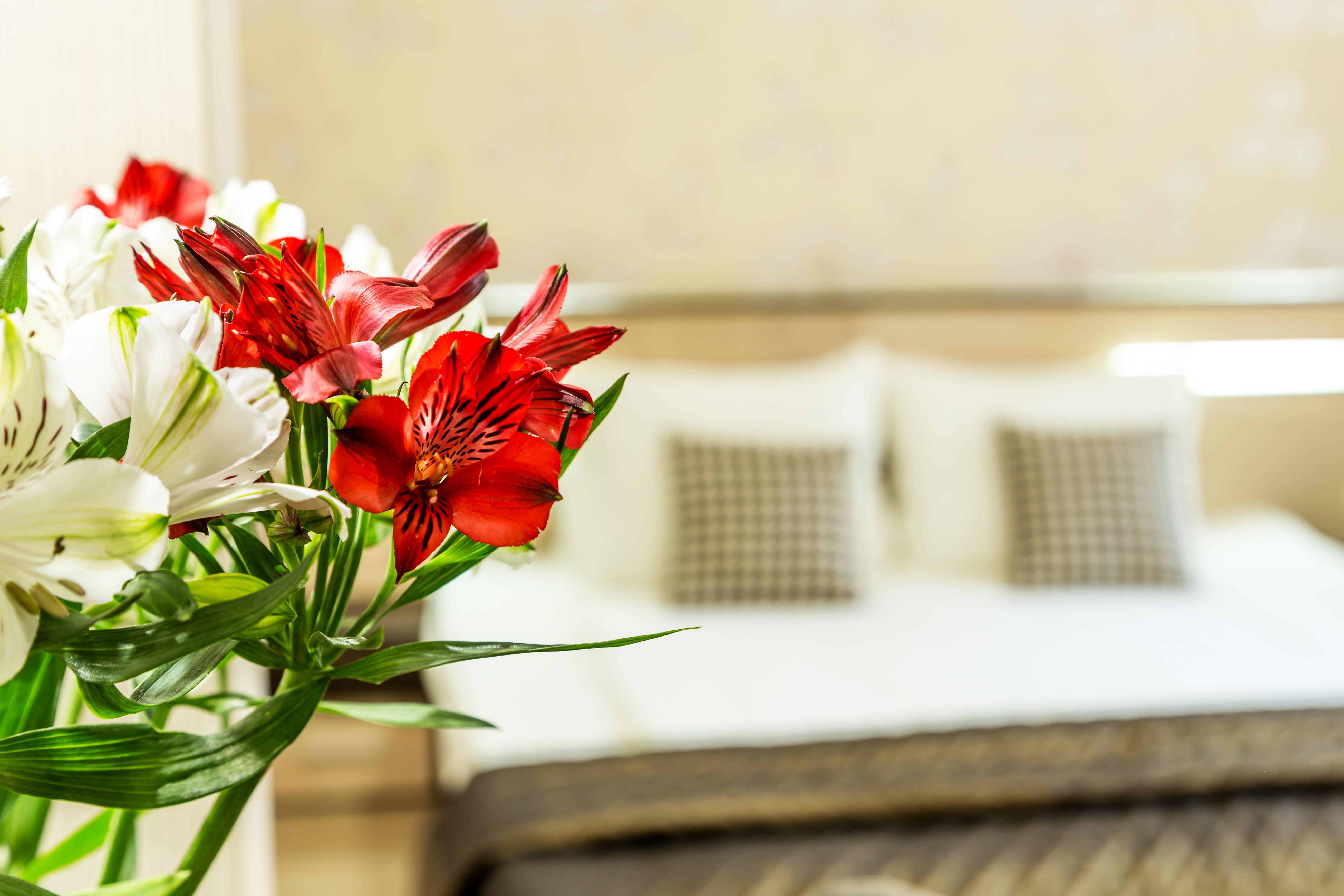 City Avenue Hotel By Hmg-Free Parking-Free Wi-Fi Sofia Eksteriør bilde